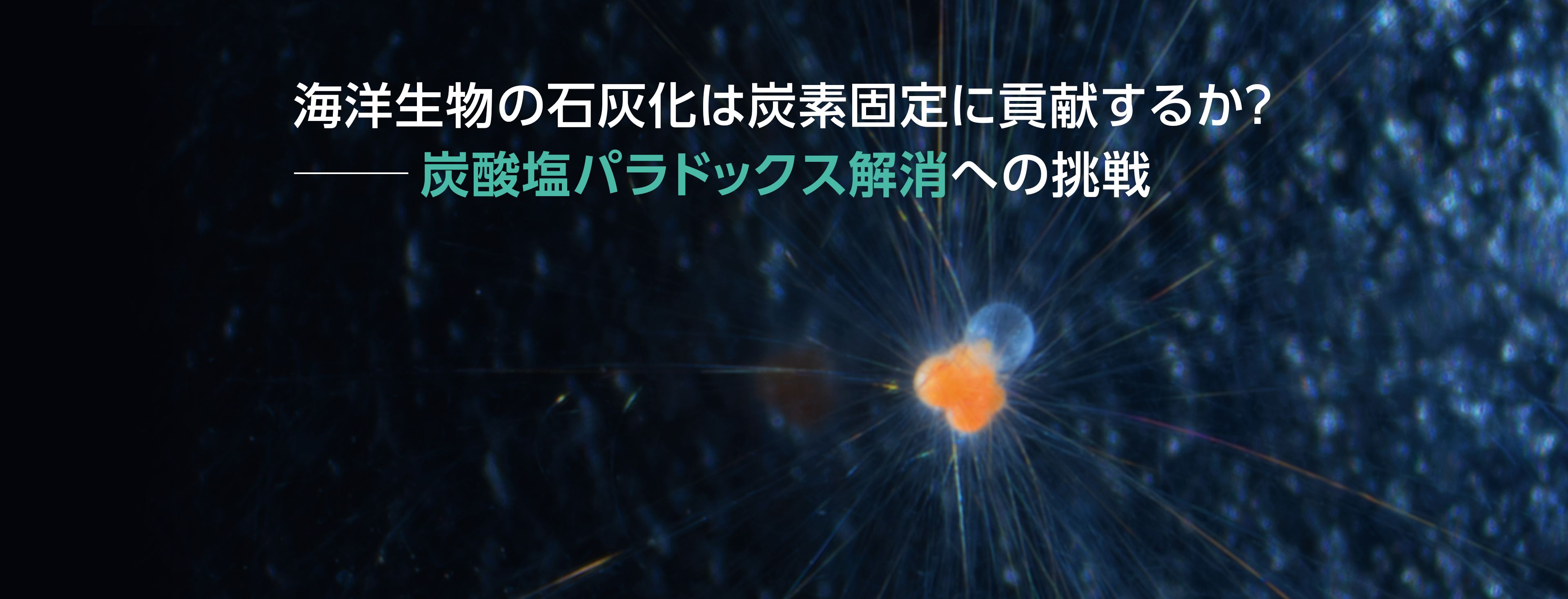 海洋生物の石灰化は炭素固定に貢献するか？ - 炭酸塩パラドックス解消への挑戦